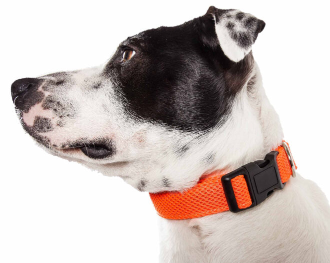 Pet Life 'Aero Mesh' 360 Degree Dual Sided Comfortable And Breathable Adjustable Mesh Dog Collar - Image 8