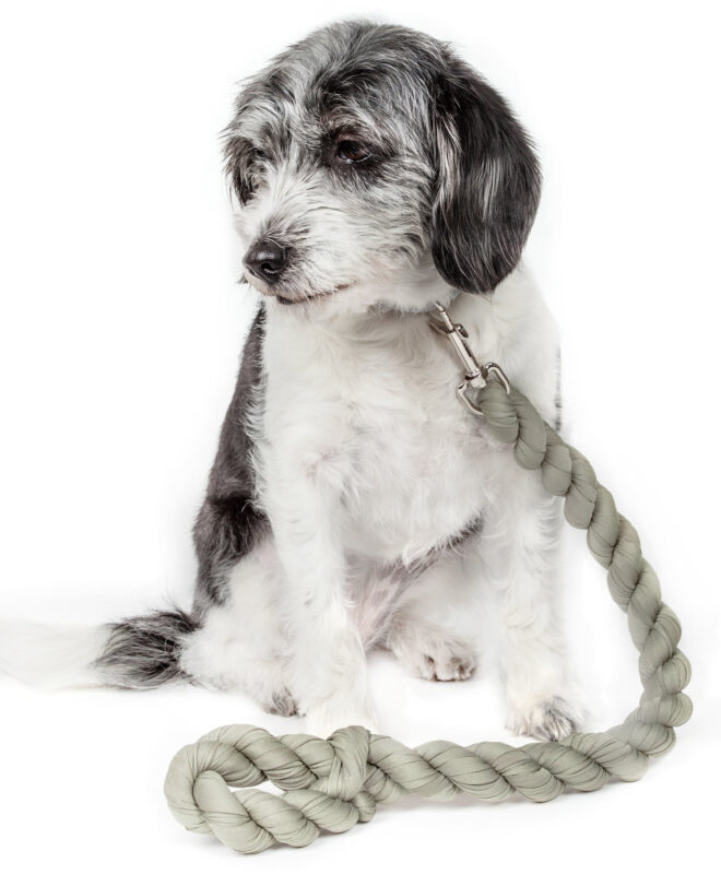 Pet Life Tough-Tugger Industrial-Strength Shock Absorption Woven Dog Leash - Image 15