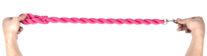 Pet Life Tough-Tugger Industrial-Strength Shock Absorption Woven Dog Leash - Image 12