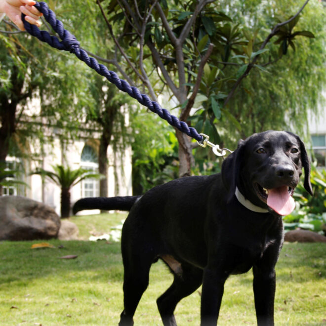 Pet Life Tough-Tugger Industrial-Strength Shock Absorption Woven Dog Leash - Image 14