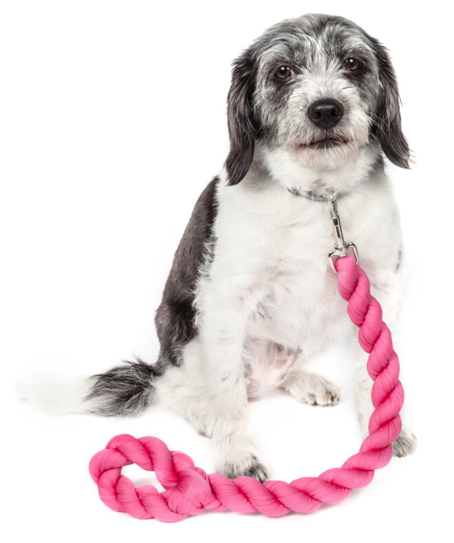 Pet Life Tough-Tugger Industrial-Strength Shock Absorption Woven Dog Leash - Image 8