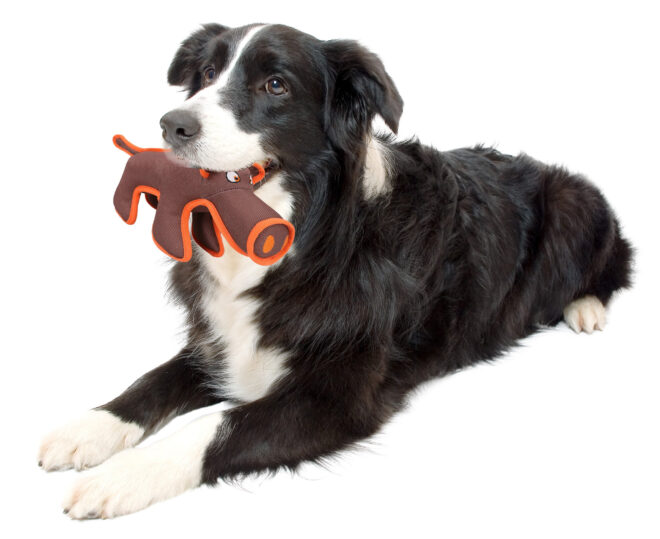 Pet Life Animal Dura-Chew Reinforce Stitched Durable Water Resistant Plush Chew Tugging Dog Toy - Image 4