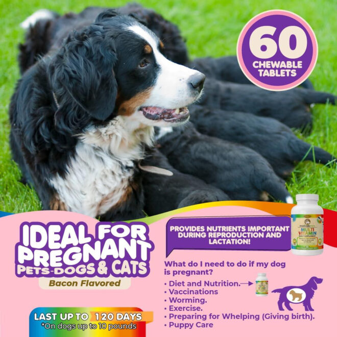Prenatal Dog Vitamins Multivitamin for Dogs and Cats with Folic Acid Minerals and Amino Acids Ideal for Pregnant Breast Feeding and Newborn Pets Senior Dog Supplement Complete Puppy Vitamins - Image 3