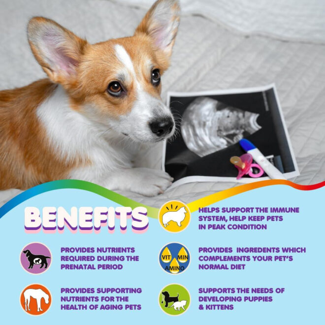 Prenatal Dog Vitamins Multivitamin for Dogs and Cats with Folic Acid Minerals and Amino Acids Ideal for Pregnant Breast Feeding and Newborn Pets Senior Dog Supplement Complete Puppy Vitamins - Image 4