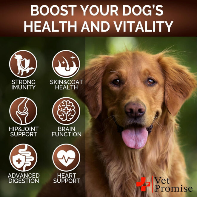 Mushroom for Dogs 170 Chews Turkey Tail Mushroom for Dogs Mushroom Supplement for Dogs Lions Mane Reishi Immunity Support Multivitamin Joint Health Energy Gut Skin Dog Vitamins - Image 4