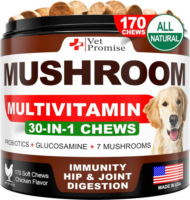 Mushroom for Dogs 170 Chews Turkey Tail Mushroom for Dogs Mushroom Supplement for Dogs Lions Mane Reishi Immunity Support Multivitamin Joint Health Energy Gut Skin Dog Vitamins