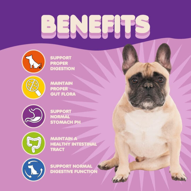 Probiotics for Dogs & Puppies Extra Strength 9 Species 5 Billion CFU per Scoop of Dog Probiotics and Digestive Enzymes for Dogs Support Fiber for Dogs  Dog Allergy Relief Powder Probiotic for Dogs - Image 3