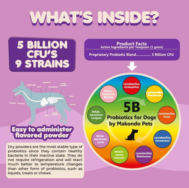 Probiotics for Dogs & Puppies Extra Strength 9 Species 5 Billion CFU per Scoop of Dog Probiotics and Digestive Enzymes for Dogs Support Fiber for Dogs  Dog Allergy Relief Powder Probiotic for Dogs - Image 4