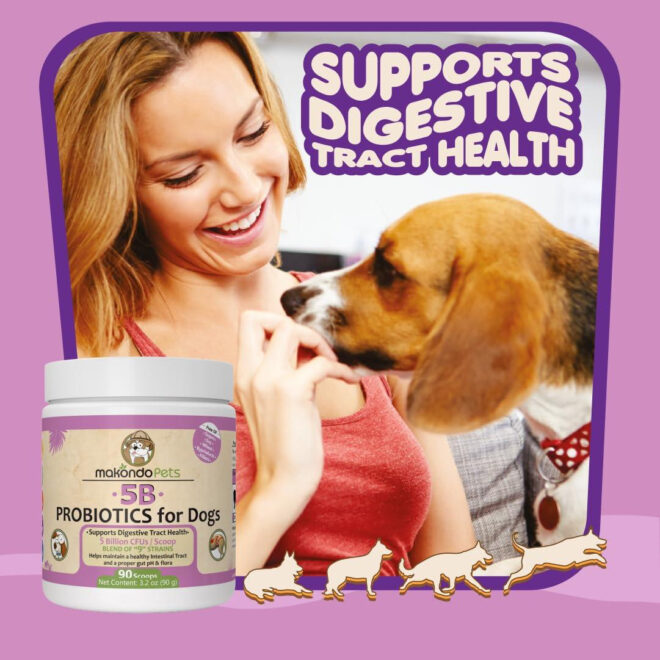 Probiotics for Dogs & Puppies Extra Strength 9 Species 5 Billion CFU per Scoop of Dog Probiotics and Digestive Enzymes for Dogs Support Fiber for Dogs  Dog Allergy Relief Powder Probiotic for Dogs - Image 5