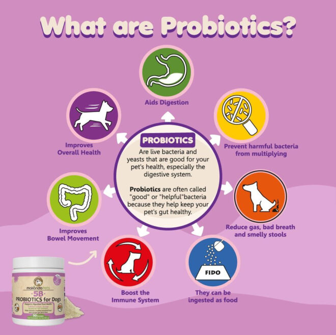 Probiotics for Dogs & Puppies Extra Strength 9 Species 5 Billion CFU per Scoop of Dog Probiotics and Digestive Enzymes for Dogs Support Fiber for Dogs  Dog Allergy Relief Powder Probiotic for Dogs - Image 6
