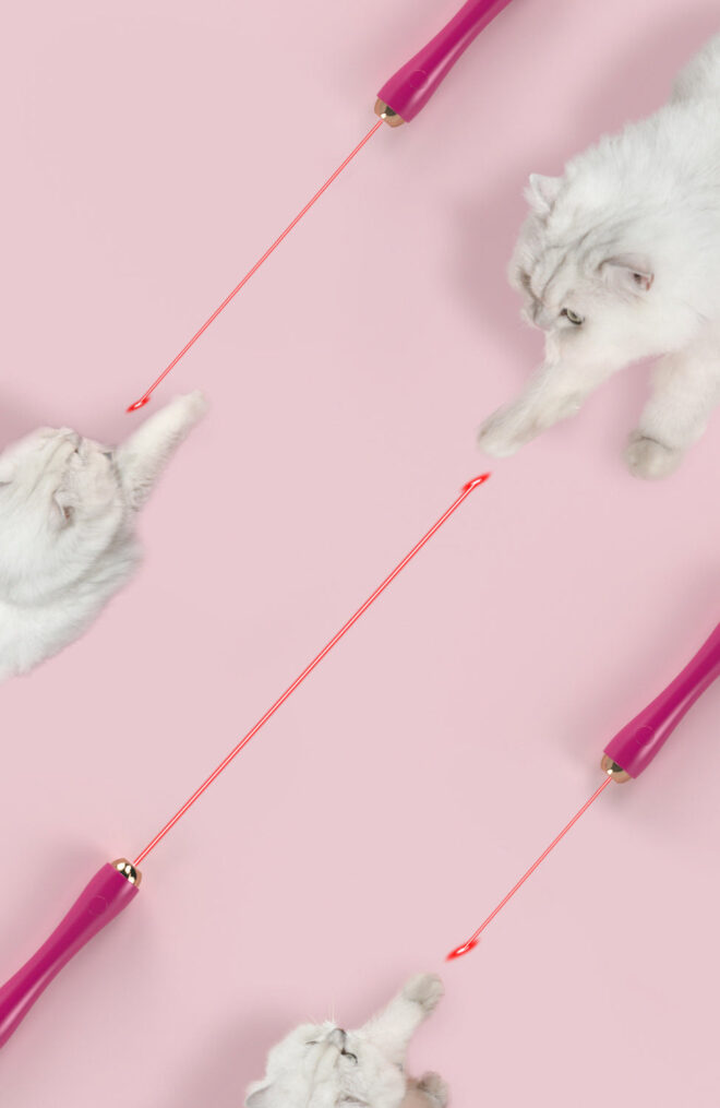 Pet Life 'Wander-cat' Customizeable and Extendable 10-in-1 Attachment Laser Cat Teaser - Image 3