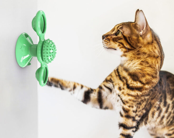 Pet Life 'Windmill' Rotating Suction Cup Spinning Cat Toy - Image 18