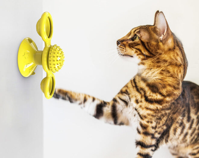 Pet Life 'Windmill' Rotating Suction Cup Spinning Cat Toy - Image 11