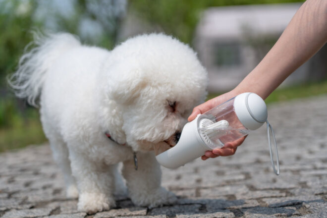 Pet Life 'PYURE' Handheld Travel Filtered Water Feeder - Image 15