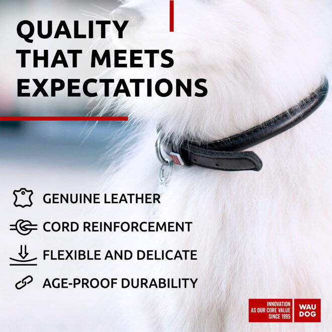 Black Ultra Soft Rolled Leather Dog Collar 10-13 inch Neck Soft Padded Dog Collars for Small Medium Dogs Male and Female Dog Collar - Image 4