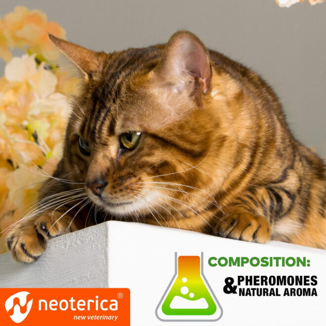 Calming Pheromone Spray Scratch Repellent for Cats Reduce Scratching Furniture Pee Helps to Relief Stress Fighting Hiding - Image 5
