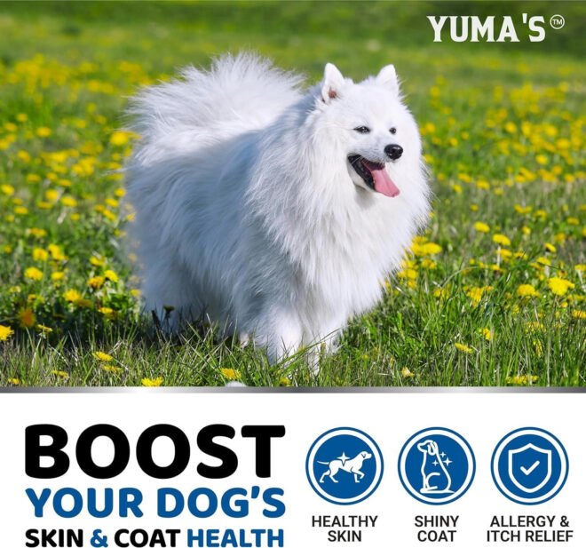 2 Pack Omega 3 Fish Oil for Dogs Skin and Coat Supplement Dry & Itchy Skin Relief Treatment Allergy Support Dog Anti Shedding Treats Shiny Coats EPA & DHA Salmon - Image 4