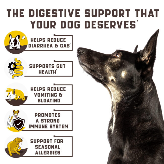 Probiotics for Dogs Support Gut Health Itchy Skin Allergies Yeast Balance Immunity Dog Probiotics and Digestive Enzymes for Small Medium and Large Dogs 180 Probiotic Chews for Dogs Duck Flavor - Image 2