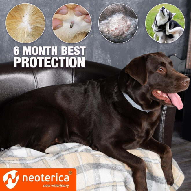 Natural Flea Tick Collar for Dogs 6 Months Control of Best Prevention Safe Treatment Anti Fleas and Ticks Essential Oil Repellent 1 Pack 2 Count - Image 4