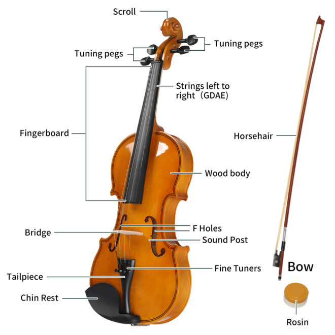 [Do Not Sell on Amazon]Full Size 4/4 Violin Set for Adults Beginners Students with Hard Case,Violin Bow,Shoulder Rest,Rosin,Extra Strings and Sordine - Image 11