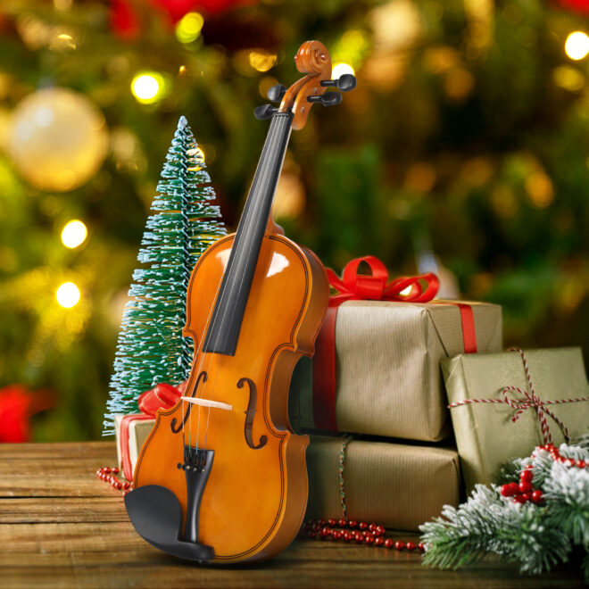 [Do Not Sell on Amazon]Full Size 4/4 Violin Set for Adults Beginners Students with Hard Case,Violin Bow,Shoulder Rest,Rosin,Extra Strings and Sordine - Image 10