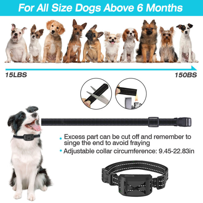 2 In 1 Wireless Electric Dog Fence Waterproof Pet Shock Boundary Containment System Electric Training Collar for Small Medium Large Dogs - Image 9