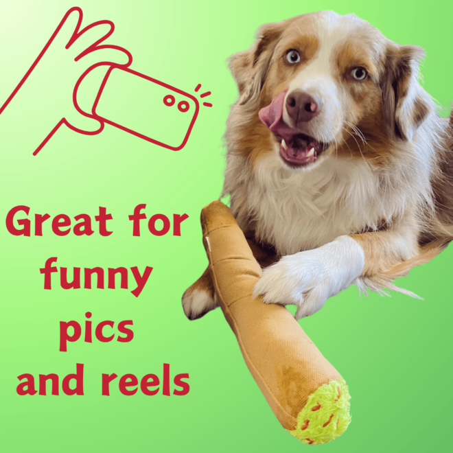 My Name is B, Cute Stuffed Parody Blunt Dog Toy, Funny Squeaky Weed Toy, Cool Plush Novelty 420 Gift for Pets & Their Owners, Sized for Puppies & Small, Medium & Large Breeds, For Fetch & a Photo Prop - Image 3