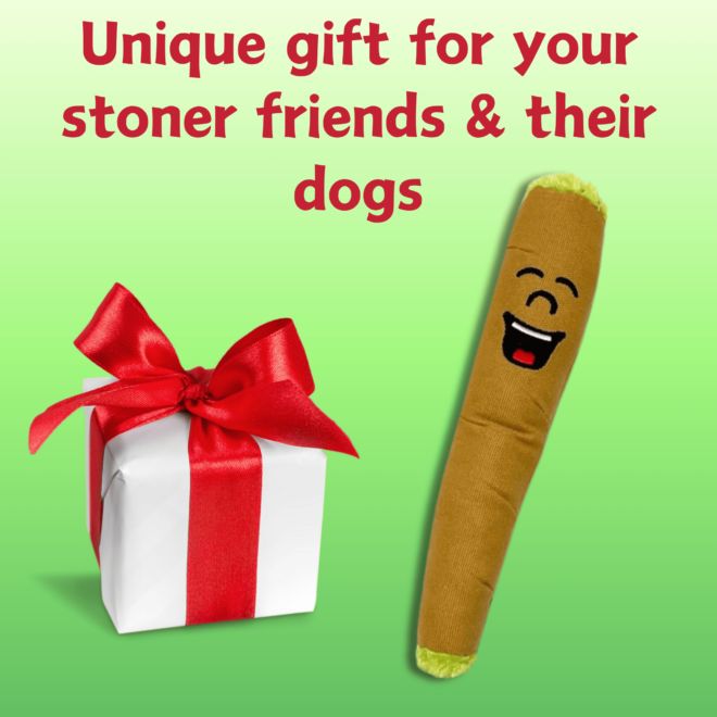 My Name is B, Cute Stuffed Parody Blunt Dog Toy, Funny Squeaky Weed Toy, Cool Plush Novelty 420 Gift for Pets & Their Owners, Sized for Puppies & Small, Medium & Large Breeds, For Fetch & a Photo Prop - Image 6