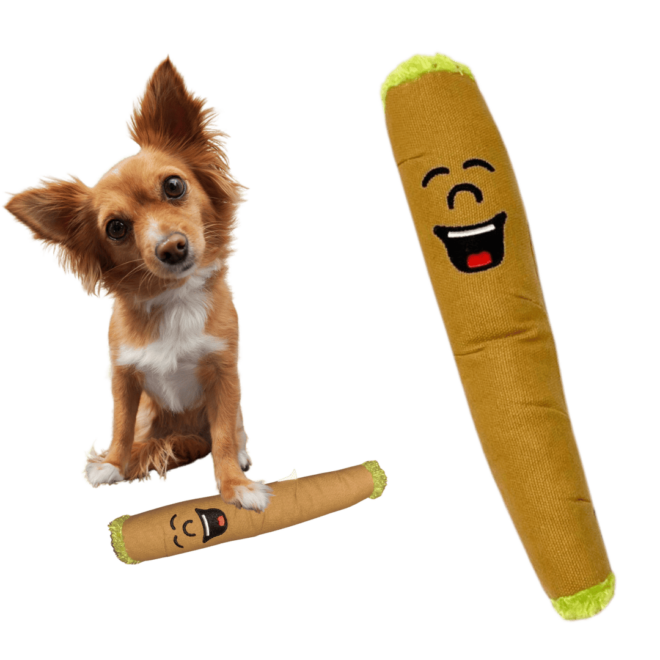 My Name is B, Cute Stuffed Parody Blunt Dog Toy, Funny Squeaky Weed Toy, Cool Plush Novelty 420 Gift for Pets & Their Owners, Sized for Puppies & Small, Medium & Large Breeds, For Fetch & a Photo Prop - Image 9