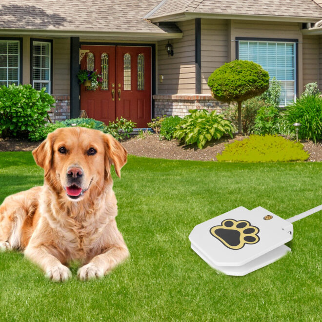 Dog Water Fountain Outdoor Dog Pet Water Dispenser Step-on Activated Sprinkler - Image 10