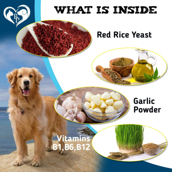 Flea and Tick Prevention Chewable Pills for Dogs and Cats Pest Control & Natural Defense Chewables Small Tablets Beef Taste - Image 4