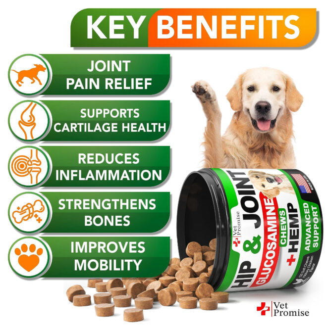 Hemp Hip and Joint Support Supplement for Dogs Glucosamine for Dogs Dog Joint Supplement Hip and Joint Chews for Dogs with Chondroitin MSM Hemp Oil Dog Pain Relief - Image 2