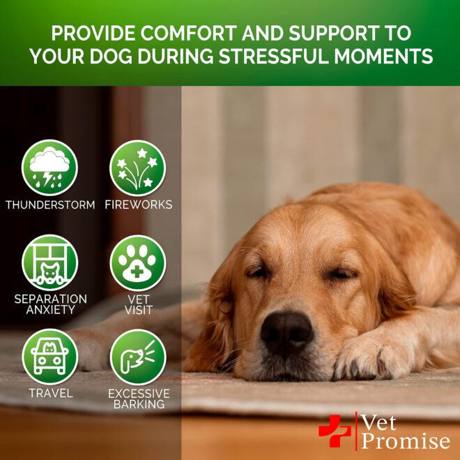 Hemp Calming Chews for Dogs with Anxiety and Stress Dog Calming Treats Dog Anxiety Relief Melatonin for Dogs Hemp Oil for Dogs 120 Treats - Image 4