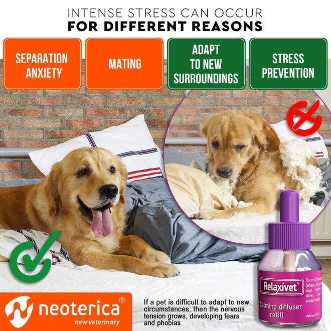 Calming Diffuser Kit for Dogs Puppy Pet Separation Anxiety Relief Calm Pheromones Plug Anti Stress Treatment Help with Fireworks Aggression Fighting & Other Problematic Behaviors - Image 3