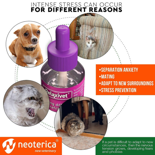 Calming Cat Diffuser Refill 6 Pcs Anti Anxiety Pet Products Feline Calm Pheromones Cats Comfort Stress Relief Help with Pee New Zone Aggression Fighting with Dogs Behavior Control - Image 3