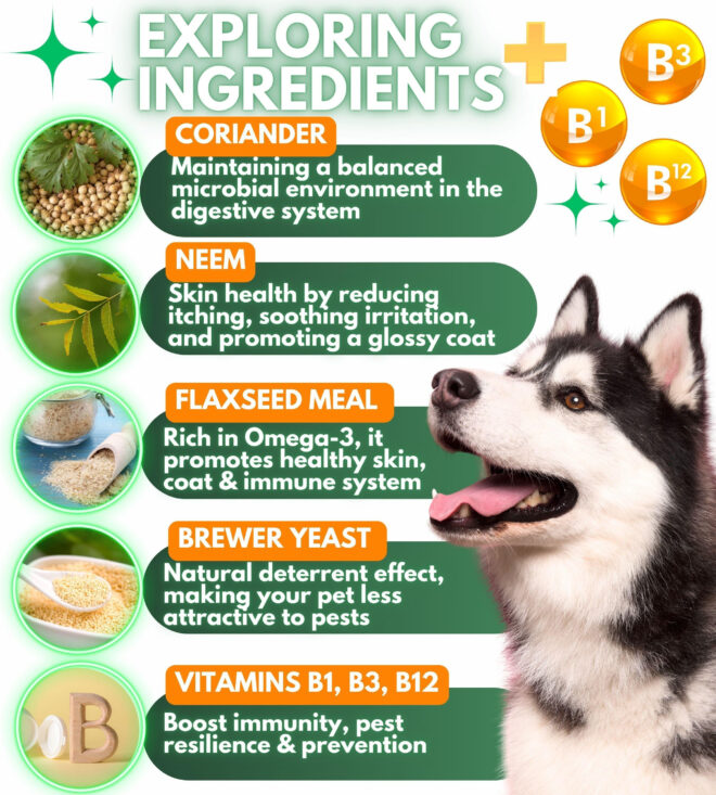 Flea and Tick Prevention for Dogs Chewables Natural Dog Flea and Tick Control Supplement Flea & Tick Chews for Dogs Oral Flea Pills for Dogs Pest Defense All Life Stages - Image 4