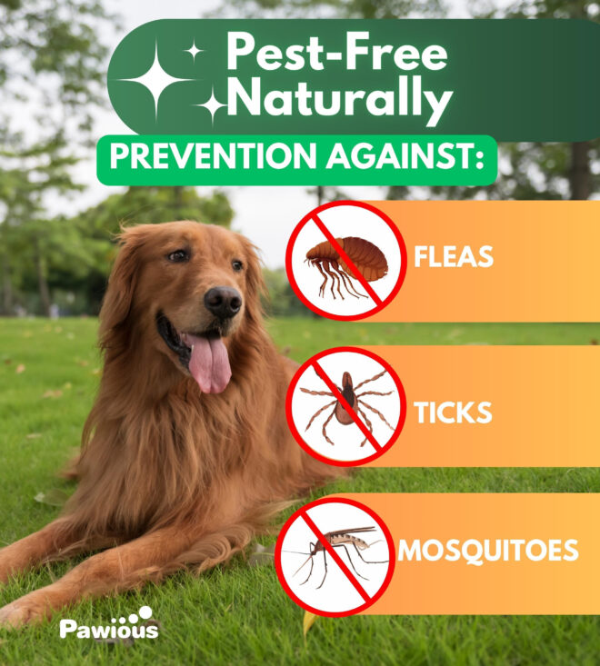 Flea and Tick Prevention for Dogs Chewables Natural Dog Flea and Tick Control Supplement Flea & Tick Chews for Dogs Oral Flea Pills for Dogs Pest Defense All Life Stages - Image 5