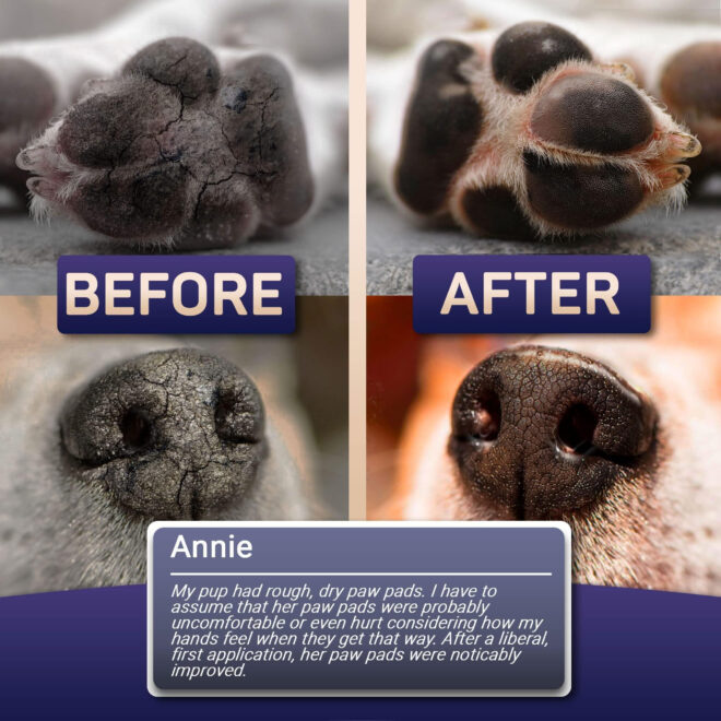 Natural Dog Paw Balm Dog Paw Protection for Hot Pavement Dog Paw Wax for Dry Paws and Nose Canine Paw Moisturizer for Cracked Paws Cream Butter for Cat Dogs Paw Protectors Paw Pad Lotion - Image 4