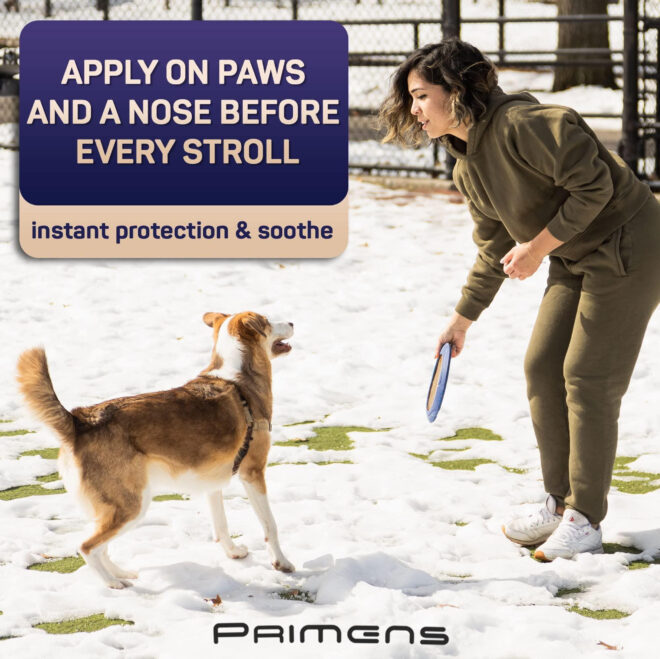 Natural Dog Paw Balm Dog Paw Protection for Hot Pavement Dog Paw Wax for Dry Paws and Nose Canine Paw Moisturizer for Cracked Paws Cream Butter for Cat Dogs Paw Protectors Paw Pad Lotion - Image 6