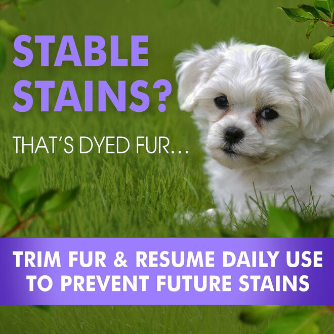 Tear Stain Remover Eye Stain Cleaner for Dogs and Cats Natural Ingredients 26 Dead Sea Minerals - Image 5