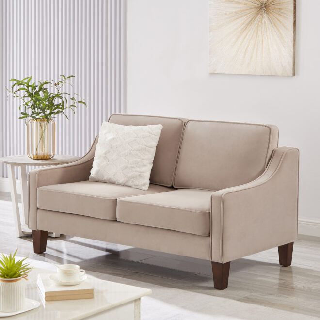 Modern Loveseat sofa for Living Room, Upholstered Velvet Small Couch with Wooden Legs for Livingroom Bedroom, Taupe - Image 3