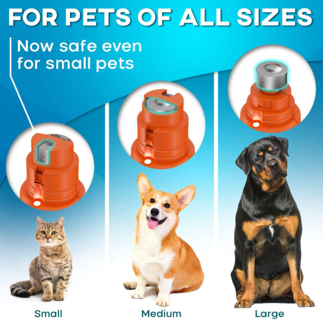 Orange Dog Nail Grinder with LED Light Rechargeable Dog Nail Grinder for Large Dogs Medium Small Dogs Professional Pet Nail Grinder for Dogs Quiet Soft Puppy Grooming Cat Nail Grinder Dog Nail Trimmer - Image 5