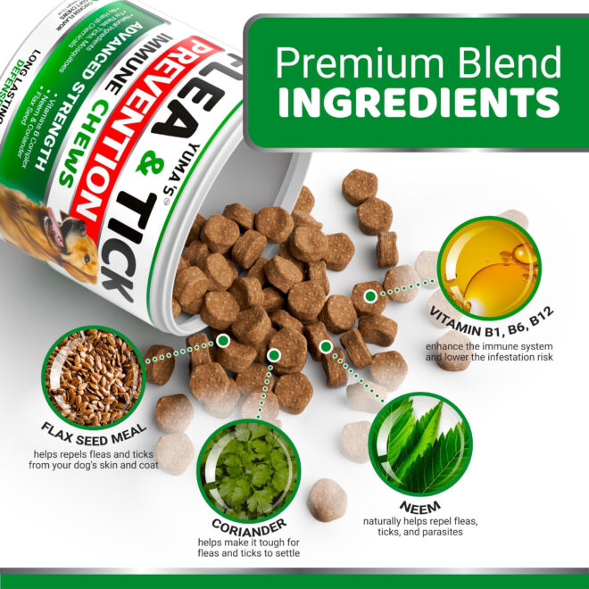 Flea and Tick Prevention for Dogs Chewables 170 Treats Natural Dog Flea and Tick Treatment All Breeds & Ages Made in USA - Image 3