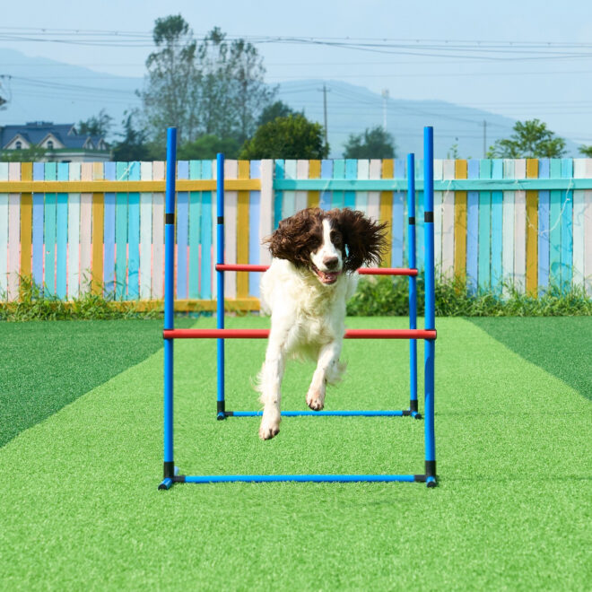 VEVOR Dog Agility Training Equipment 7 PCS Set w/ Hurdles 2 Tunnels Jump Ring - Image 8