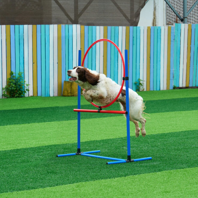 VEVOR Dog Agility Training Equipment 5 PCS Set Upgrade w/ Hurdles Extended Tunnel - Image 8