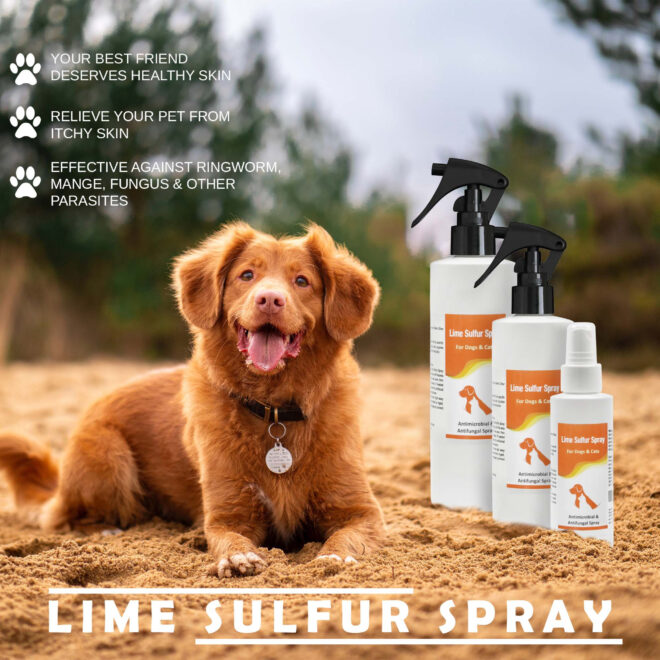 Lime Sulfur Spray - Image 10